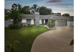 2554 Rolling Oaks Dr, PALM HARBOR
