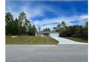 6735 WATERMAN DRIVE, DUNNELLON, FL 34433 - MLS#MFROM708426
