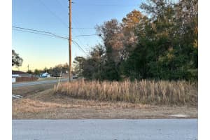 DOGWOOD DRIVE CIR, OCALA, FL 34472 - MLS#MFROM708433