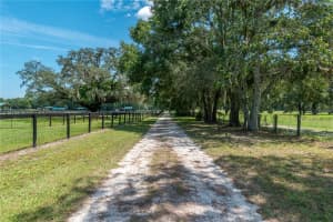 6635 135TH AVENUE, MORRISTON, FL 32668 Sold 10/29/25