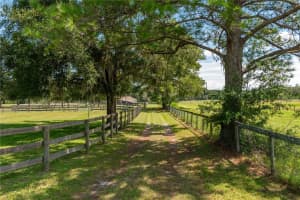 6635 135TH AVENUE, MORRISTON, FL 32668 Sold 10/29/25