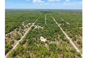 Lot 6 134TH COURT, DUNNELLON, FL 34431 - MLS#MFROM708505