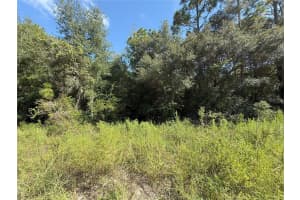 TBD 40TH STREET, DUNNELLON, FL 34432 - MLS#MFROM708514