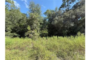 TBD 40TH STREET, DUNNELLON, FL 34432 - MLS#MFROM708514
