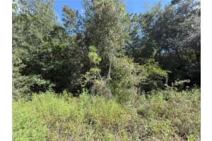 TBD 40TH STREET, DUNNELLON, FL 34432 - MLS#MFROM708514
