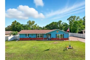 317 BAHIA CIRCLE, OCALA, FL 34472 - MLS#MFROM708541