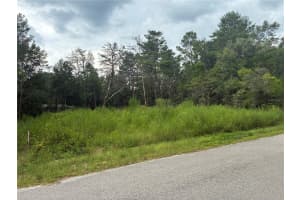 MOINES CT, DUNNELLON, FL 34434 - MLS#MFROM708612
