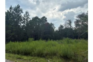 MOINES CT, DUNNELLON, FL 34434 - MLS#MFROM708612