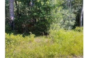 TBD ST BENEDICT  DRIVE LOT 113 DRIVE, DUNNELLON, FL 34432 - MLS#MFROM708625