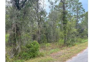 REDWING RD, DUNNELLON, FL 34430 - MLS#MFROM708630