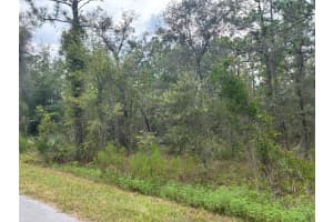 REDWING RD, DUNNELLON, FL 34430 - MLS#MFROM708630