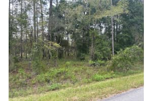 NW REDWOOD, DUNNELLON, FL 34430 - MLS#MFROM708631