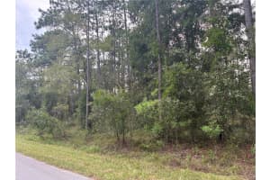 NW REDWOOD, DUNNELLON, FL 34430 - MLS#MFROM708631