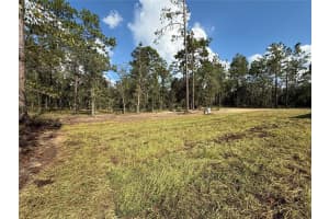 1065 RIDGEWOOD ROAD, DUNNELLON, FL 34431 Sold 09/30/25