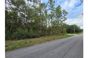 178 TER, DUNNELLON, FL 34432 - MLS#MFROM708653