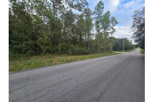178 TER, DUNNELLON, FL 34432 - MLS#MFROM708653