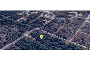 NE 16TH PL, WILLISTON, FL 32696 - MLS#MFROM708657
