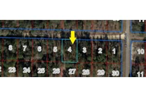 NE 16TH PL, WILLISTON, FL 32696 - MLS#MFROM708657