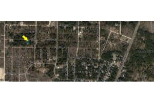 NE 16TH PL, WILLISTON, FL 32696 - MLS#MFROM708657