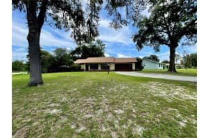 12053 96TH TERRACE, BELLEVIEW, FL 34420 - MLS#MFROM708690