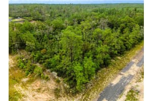 8109 WAYSIDE AVENUE, DUNNELLON, FL 34433 - MLS#MFROM708694