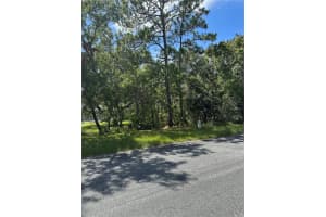 4 HONEYSUCKLE COURT, HOMOSASSA, FL 34446 - MLS#MFROM708711