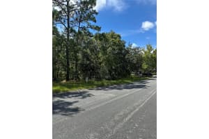 4 HONEYSUCKLE COURT, HOMOSASSA, FL 34446 - MLS#MFROM708711