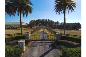 6560 110TH STREET, REDDICK, FL 32686 Sold 09/26/25