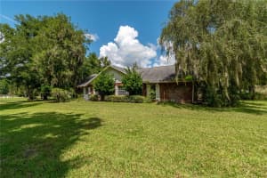 12049 8TH COURT, OCALA, FL 34479 - MLS#MFROM708808