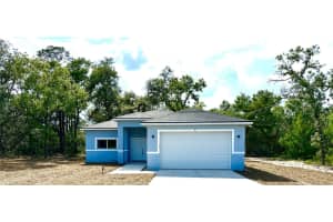 63 Guava Place Dr, OCKLAWAHA