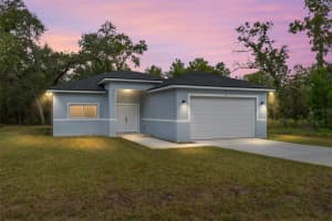 63 GUAVA PLACE DRIVE, OCKLAWAHA, FL 32179 - MLS#MFROM708819