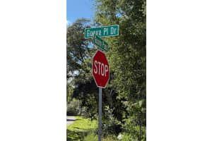 63 GUAVA PLACE DRIVE, OCKLAWAHA, FL 32179 - MLS#MFROM708819