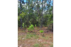 SW 178TH TER, DUNNELLON, FL 34432 - MLS#MFROM708822