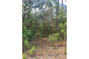 SW 178TH TER, DUNNELLON, FL 34432 - MLS#MFROM708822