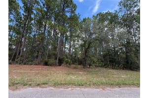 TBD 80TH COURT, OCALA, FL 34473 - MLS#MFROM708868