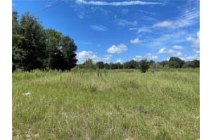 3370 150TH COURT, OCALA, FL 34481 - MLS#MFROM708871