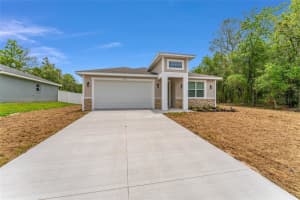 16357 Se 88th Ct, SUMMERFIELD