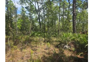 7441 JUNE TERRACE, DUNNELLON, FL 34434 - MLS#MFROM708904