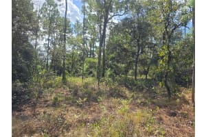 7441 JUNE TERRACE, DUNNELLON, FL 34434 - MLS#MFROM708904