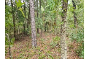 lot 24 89TH CIRCLE, OCALA, FL 34473 - MLS#MFROM708928