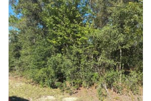 SW SEAWEED AVE, DUNNELLON, FL 34430 - MLS#MFROM708935