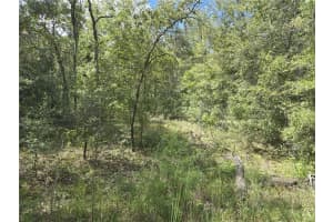 00 NE 150TH CT, WILLISTON, FL 32696 - MLS#MFROM708946
