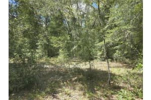 00 NE 150TH CT, WILLISTON, FL 32696 - MLS#MFROM708946