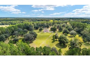 16675 112TH COURT, REDDICK, FL 32686 - MLS#MFROM708957