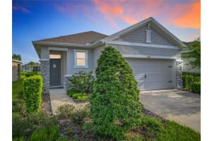 5300 SUNSHINE DRIVE, WILDWOOD, FL 34785 - MLS#MFROM708967