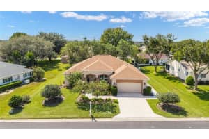 13660 90TH TERRACE, SUMMERFIELD, FL 34491 - MLS#MFROM708969