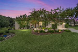 13660 90TH TERRACE, SUMMERFIELD, FL 34491 - MLS#MFROM708969