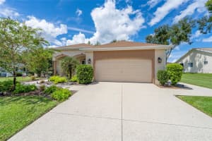 13660 90TH TERRACE, SUMMERFIELD, FL 34491 - MLS#MFROM708969