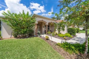 13660 90TH TERRACE, SUMMERFIELD, FL 34491 - MLS#MFROM708969