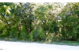 150TH CT, OCALA, FL 34481 - MLS#MFROM708998